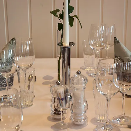 فندق Thon Partner Selbusjoen 3*